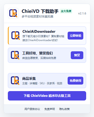 ChieiVD 2.1.6 视频下载与商品采集界面