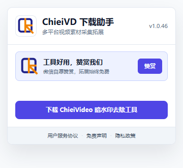 ChieiVD 1.0.46 下载助手实际界面